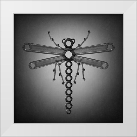 The Dragonfly White Modern Wood Framed Art Print by Ivanova, Victoria