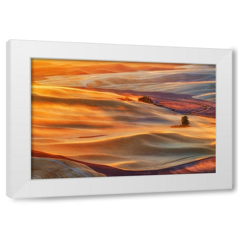 Golden Palouse White Modern Wood Framed Art Print by Jacobs, Lydia