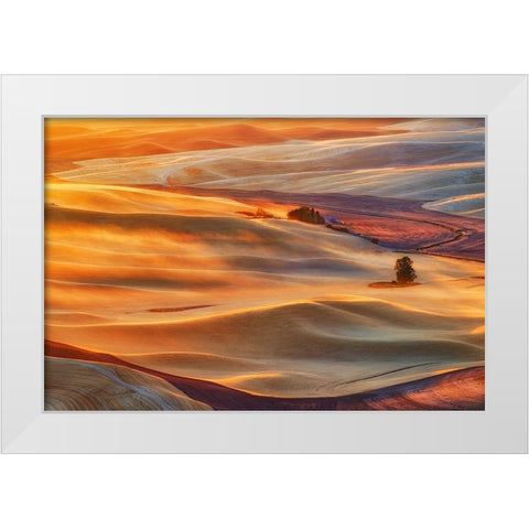 Golden Palouse White Modern Wood Framed Art Print by Jacobs, Lydia
