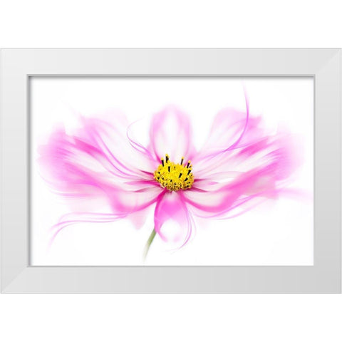 Breeze White Modern Wood Framed Art Print by Parker, Jacky