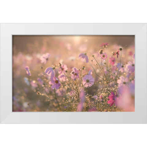Untitled White Modern Wood Framed Art Print by Koumura, Miyako