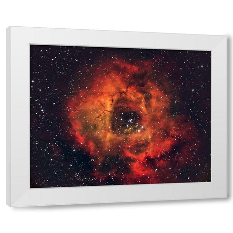 The Rose In The Sky White Modern Wood Framed Art Print by Auf Dem, Andrea