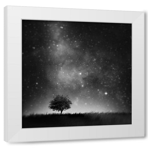 Not So Alone White Modern Wood Framed Art Print by Del Grosso, Sebastien