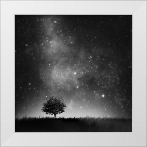 Not So Alone White Modern Wood Framed Art Print by Del Grosso, Sebastien