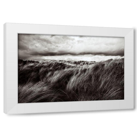 Dunes Of Grass White Modern Wood Framed Art Print by Paul