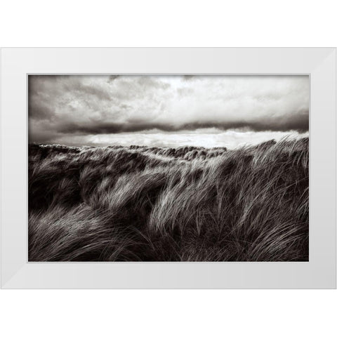 Dunes Of Grass White Modern Wood Framed Art Print by Paul