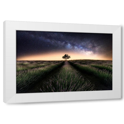 Lavender Way White Modern Wood Framed Art Print by Ferrero, Ivan