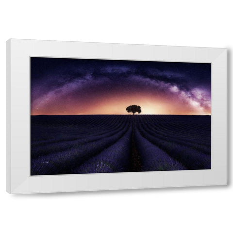 My Lavander White Modern Wood Framed Art Print by Ruiz Dueso, Jorge