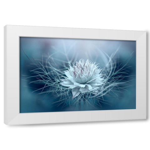 Love-In-A-Mist White Modern Wood Framed Art Print by Parker, Jacky