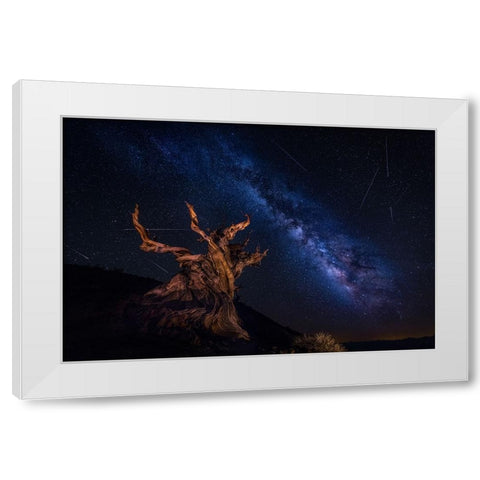Shooting Stars Night White Modern Wood Framed Art Print by Zheng, Michael