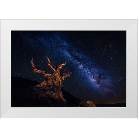 Shooting Stars Night White Modern Wood Framed Art Print by Zheng, Michael
