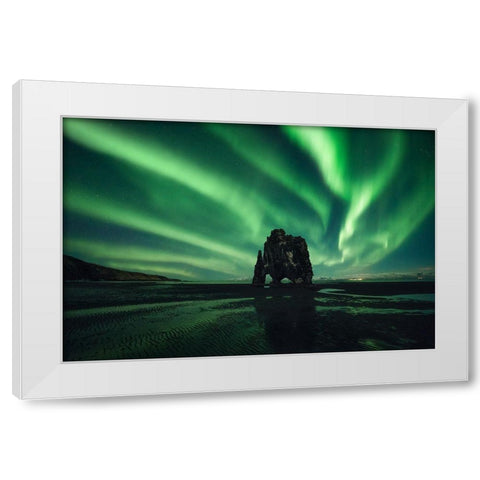 Rhino White Modern Wood Framed Art Print by Martin Castan, David