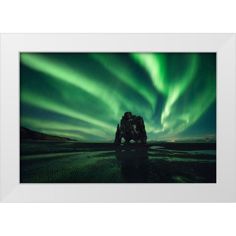 Rhino White Modern Wood Framed Art Print by Martin Castan, David