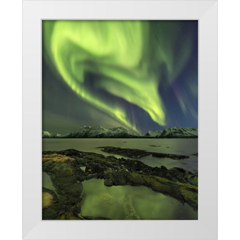 The Aliensaas Head White Modern Wood Framed Art Print by Smid Master, Jan