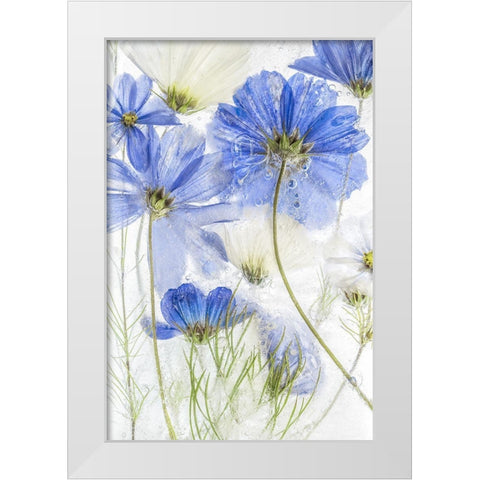 Cosmos Blue White Modern Wood Framed Art Print by Disher, Mandy