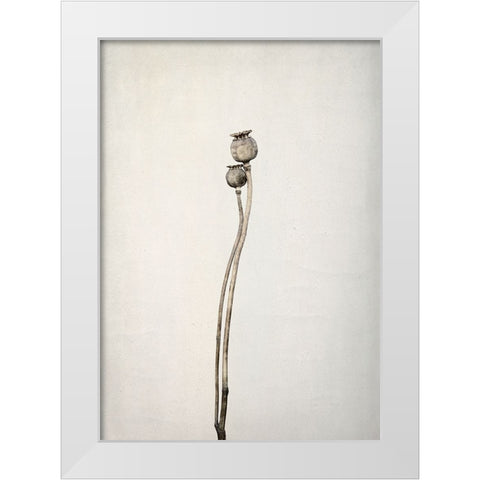 Two Old Poppies White Modern Wood Framed Art Print by Gronkjar, Lotte
