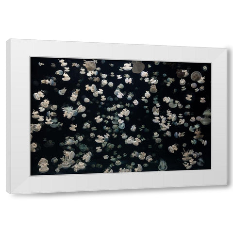Just Some Jellies White Modern Wood Framed Art Print by Graf, Sebastian