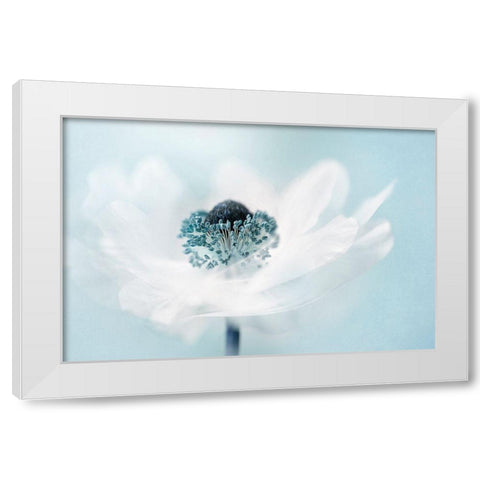 Candy Floss White Modern Wood Framed Art Print by Parker, Jacky