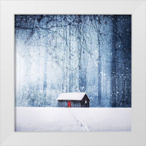 Winter White Modern Wood Framed Art Print by Hamiti, Bess