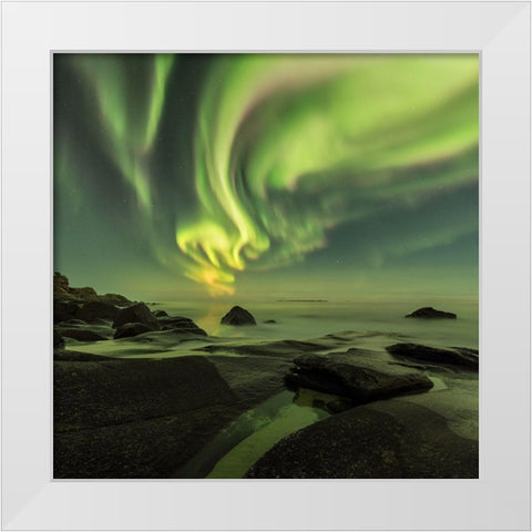 Dancing Queen White Modern Wood Framed Art Print by Smid Master, Jan
