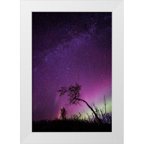 Under The Stars - 1 White Modern Wood Framed Art Print by Ifrim, Sorin