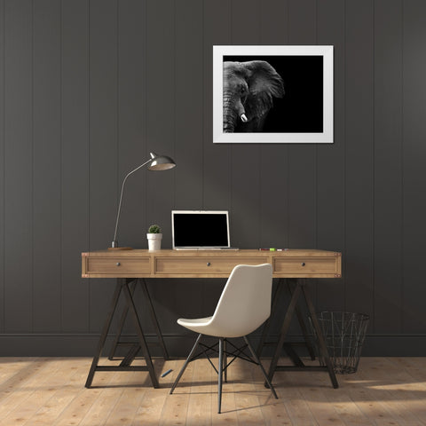 Elephant White Modern Wood Framed Art Print by WildPhotoArt