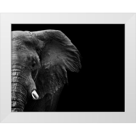 Elephant White Modern Wood Framed Art Print by WildPhotoArt