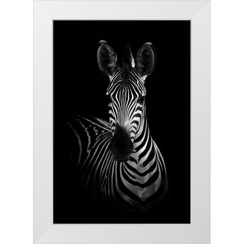The Zebra White Modern Wood Framed Art Print by WildPhotoArt
