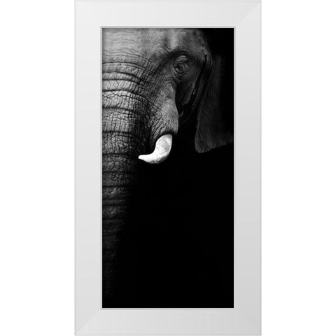 Elephant Portrait White Modern Wood Framed Art Print by Wildphotoart
