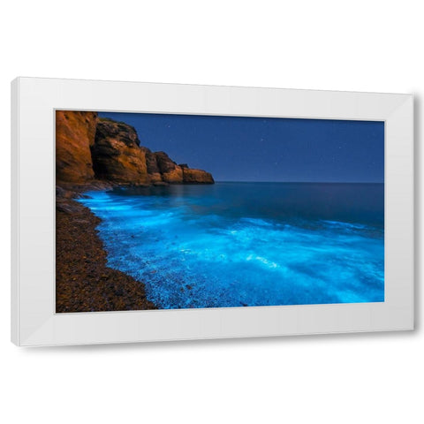 Bioluminescent Bay White Modern Wood Framed Art Print by Zhu, Hua