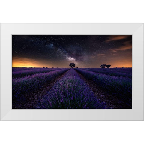 Fields Of Castilla White Modern Wood Framed Art Print by Ruiz Dueso, Jorge