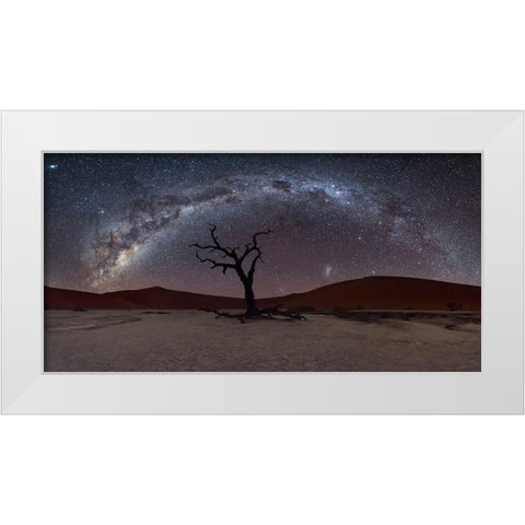 Deadviel White Modern Wood Framed Art Print by Marchegiani, Roberto