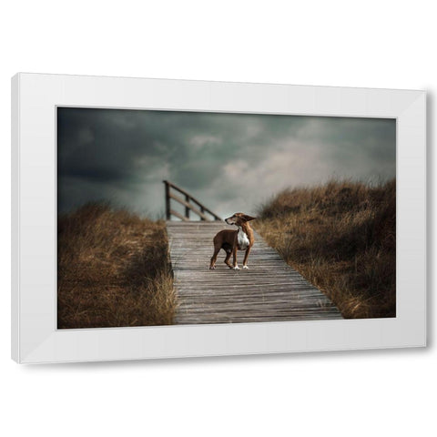 The Summer Wind Came Blowin In From Across The Seaa?B. (Frank Sinatra) White Modern Wood Framed Art Print by Willers, Heike