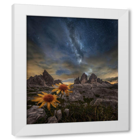 Even The Flowers Seem To Be Fascinated By The Stars White Modern Wood Framed Art Print by Ghizzi Panizza, Alberto
