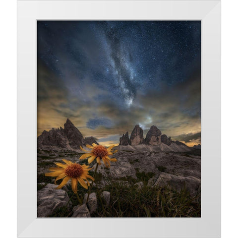 Even The Flowers Seem To Be Fascinated By The Stars White Modern Wood Framed Art Print by Ghizzi Panizza, Alberto