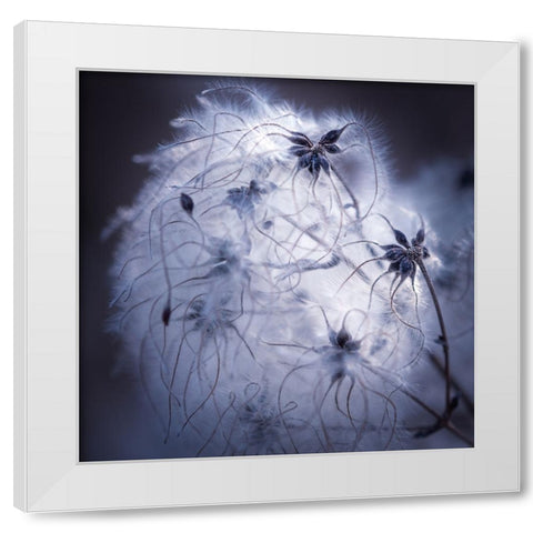 Network White Modern Wood Framed Art Print by Menhard, Ingo