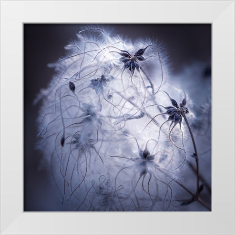 Network White Modern Wood Framed Art Print by Menhard, Ingo