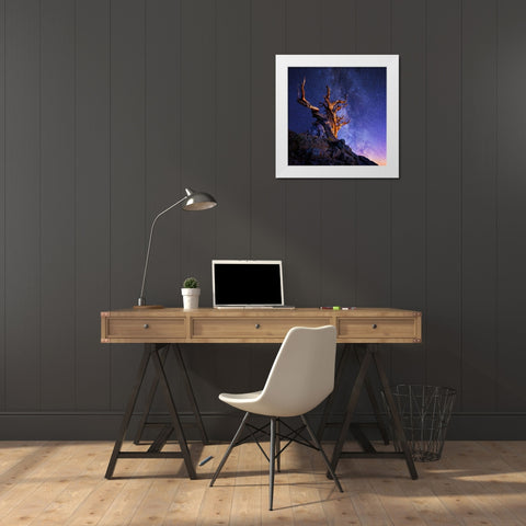 The Ancient Tree White Modern Wood Framed Art Print by Suradji, Surjanto