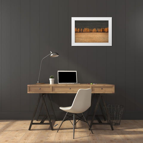 Autumn Colors White Modern Wood Framed Art Print by Tianqi