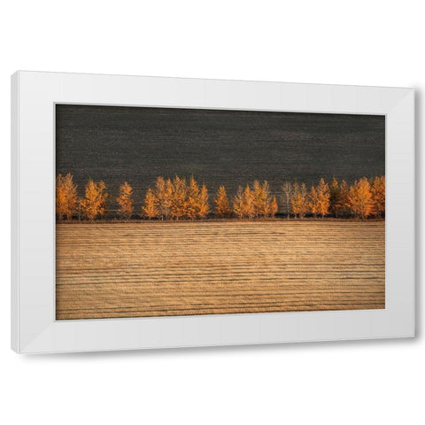 Autumn Colors White Modern Wood Framed Art Print by Tianqi