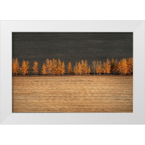 Autumn Colors White Modern Wood Framed Art Print by Tianqi