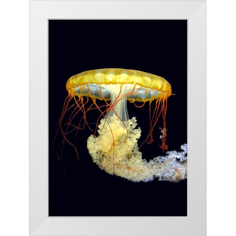 *** White Modern Wood Framed Art Print by Fyb
