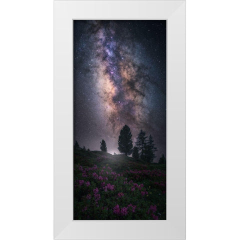 Art Of Night V White Modern Wood Framed Art Print by F. Turienzo, Carlos