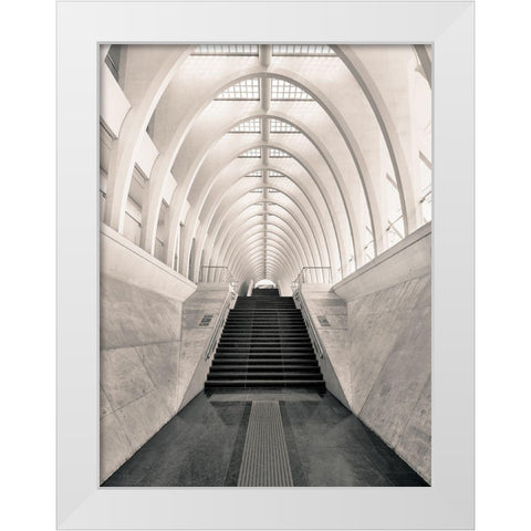 Inside Calatrava White Modern Wood Framed Art Print by Lopez, Oscar