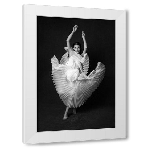 Swan Lake White Modern Wood Framed Art Print by Naderi, Peyman