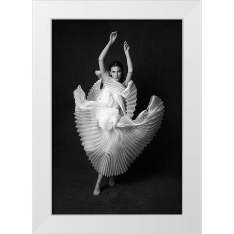 Swan Lake White Modern Wood Framed Art Print by Naderi, Peyman