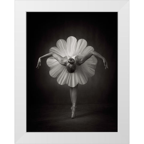 Floral Ballet White Modern Wood Framed Art Print by Studio, Catchlight