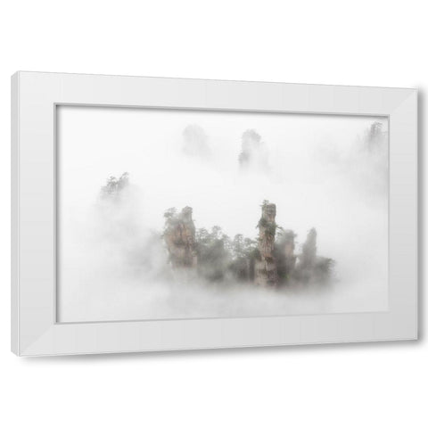 Zhangaije White Modern Wood Framed Art Print by Marchegiani, Roberto