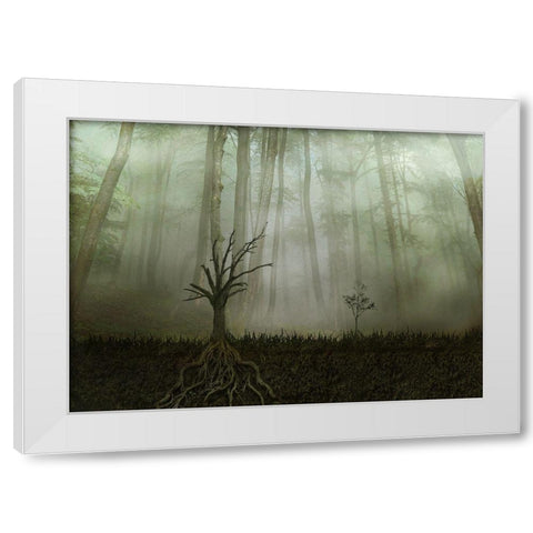 Root 1 White Modern Wood Framed Art Print by Golchin, Aryana