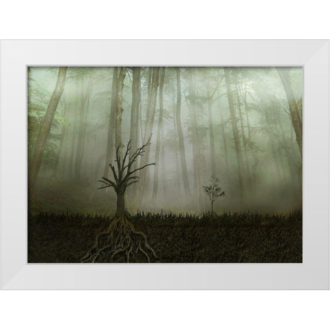 Root 1 White Modern Wood Framed Art Print by Golchin, Aryana